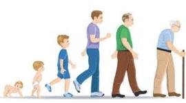 Timeline: Etapas del desarrollo humano