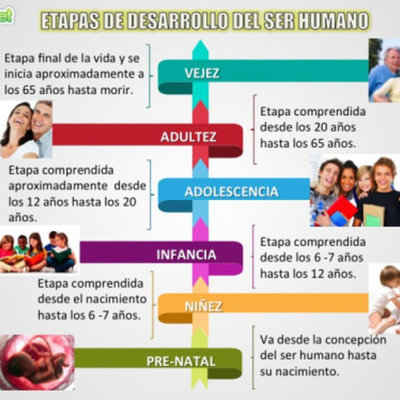 Timeline: ETAPAS DEL DESARROLLO HUMANO