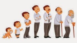 Timeline: Etapas del desarrollo del ser humano