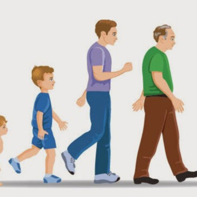 Timeline: Etapas del desarrollo humano