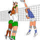 Voleibol