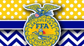 Timeline: FFA history