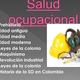 Saludocupacionaldiapositivas 101030213828 phpapp02 thumbnail 4