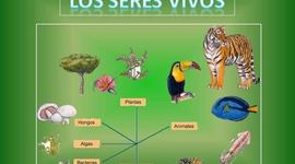 Timeline: Los seres Vivos