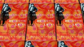 Timeline: James Condo AP Biology: The Immortal Life of Henrietta Lacks