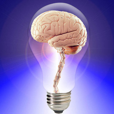 Timeline: Evolución del cerebro