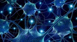 Timeline: UNIDAD I. LA HISTORIA RECIENTE DE LAS NEUROCIENCIAS DEL COMPORTAMIENTO