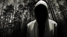 Timeline: historias y funcionarios eficientes