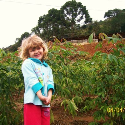 Timeline: Transformações