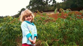 Timeline: Transformações