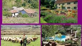 Timeline: Historia del Turismo Rural