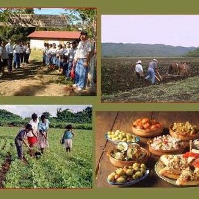 Timeline: Antecedentes del Turismo Rural..