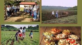 Timeline: Antecedentes del Turismo Rural..