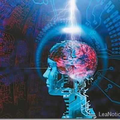 Timeline: La evolución del cerebro