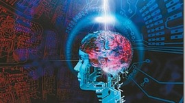Timeline: La evolución del cerebro