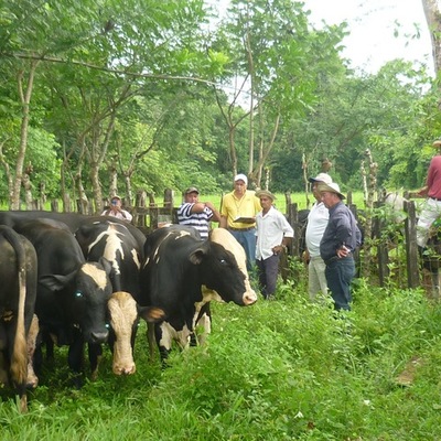 Timeline: Antecedentes del Turismo Rural
