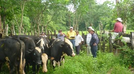 Timeline: Antecedentes del Turismo Rural