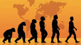 Timeline: El Desarrollo del Hombre