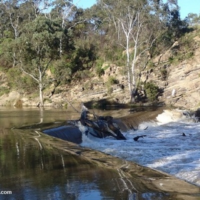 Timeline: Dights Falls