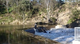 Timeline: Dights Falls