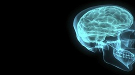 Timeline: SISTEMA NERVIOSO