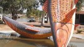 Timeline: Previdência