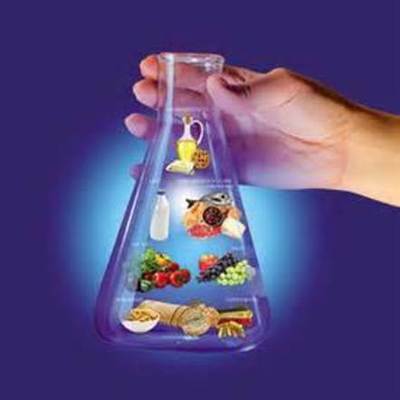 Timeline: Química de los alimentos