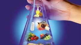 Timeline: Química de los alimentos