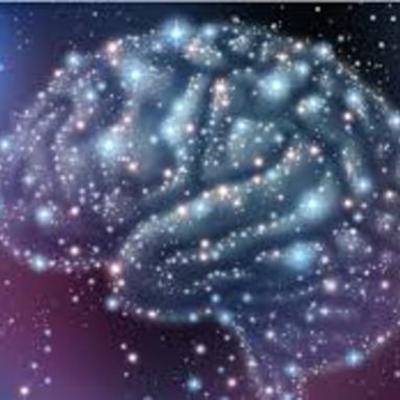 Timeline: origen y evolución del cerebro