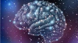 Timeline: origen y evolución del cerebro