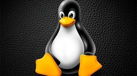 Timeline: Historia de Linux