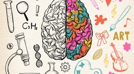 Timeline: EVOLUCIÓN DEL CEREBRO