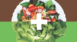 Timeline: Historia de la Nutrición y Gastronomía