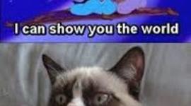 Timeline: US History A timeline