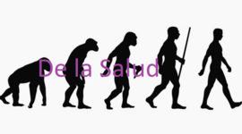 Timeline: Evolución Histórica del Concepto "Salud".