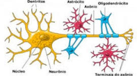 Timeline: EVOLUCION DEL SISTEMA NERVIOSO