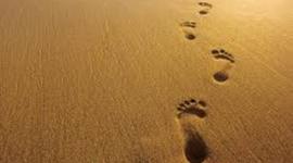 Timeline: My Faith Journey