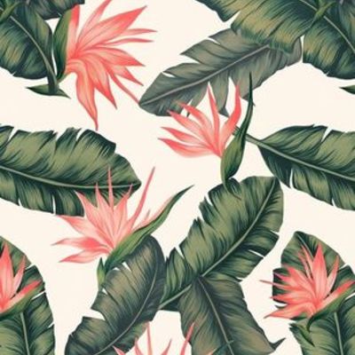 Timeline: Tecnología