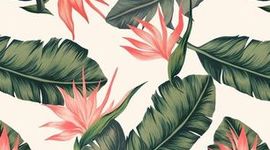 Timeline: Tecnología