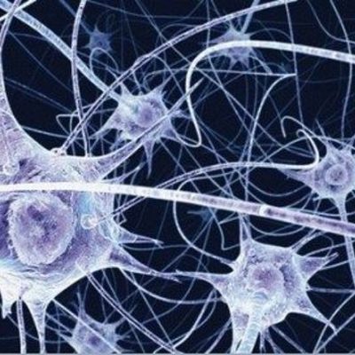 Timeline: Patentes y Artículos Alz Heimer