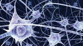 Timeline: Patentes y Artículos Alz Heimer