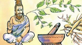 Timeline: HISTORIA FARMACOLOGIA