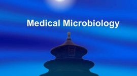Timeline: History of Microbiology (Frankie Munoz) period 3