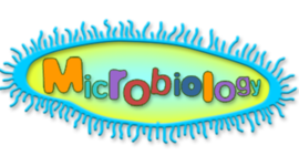 Timeline: History of Microbiology Saldana & Brooks 3rd Period