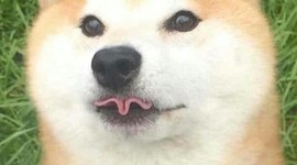 Timeline: Savannah P.