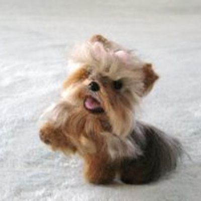 Timeline: Lucy R. Time Line