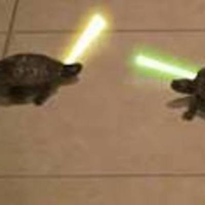 Timeline: Devon S Timeline