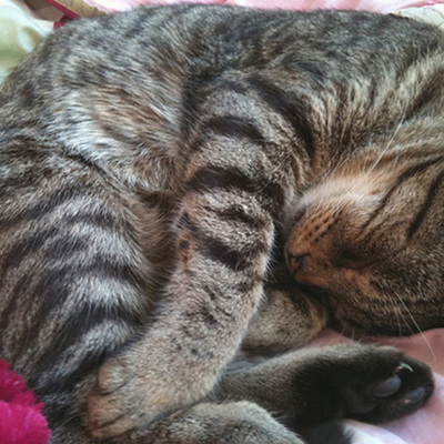 Timeline: Addison B Timeline