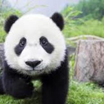 Timeline: Emma G time line