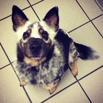 Timeline: Breah P's timeline!